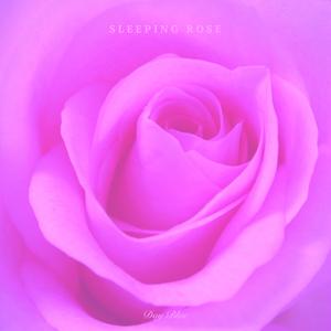 Sleeping Rose