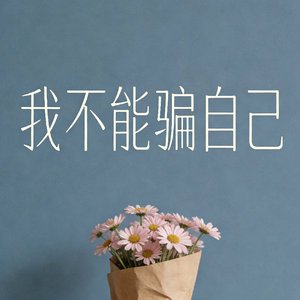 我不能骗自己