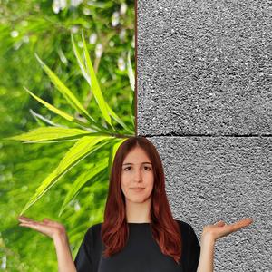 Green or Grey Leaves