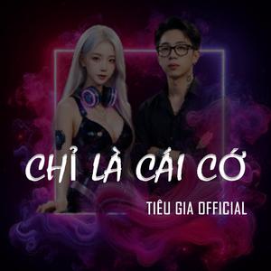 Chỉ Là Cái Cớ (EDM Version)