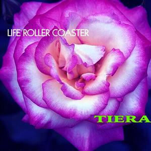 Life Roller Coaster