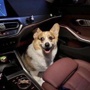 一句先苦后甜 熬了一年又一年-口水旋律