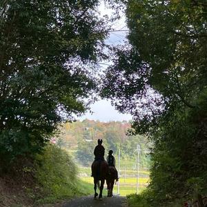 無限の力仁夢Ver.