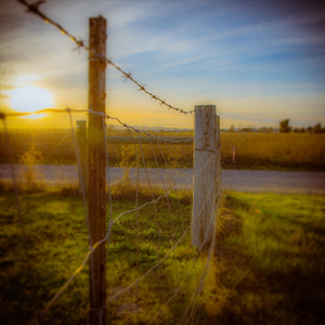 Fences