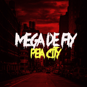 MEGA DE FLY PELA CITY