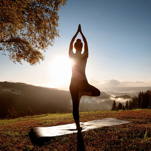 Alineando El Espíritu