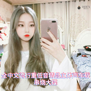 DJ国飞-全中文流行重低音精品立体声车载串烧大碟（DJ国飞 remix）