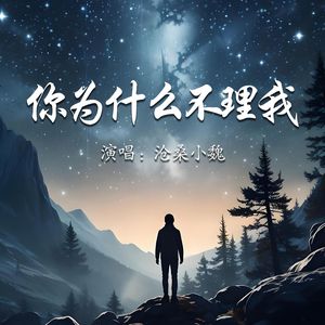 你为什么不理我