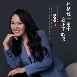 你是我一辈子忘不了的伤