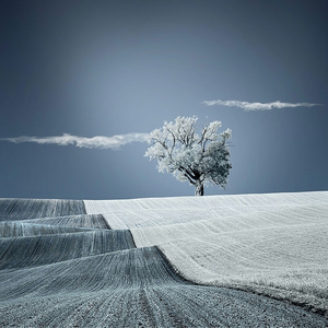 假如爱有天意（钢琴纯音版）