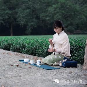 山谷里的茶花舍