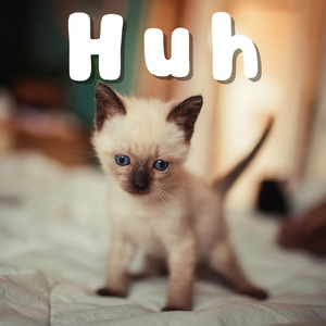 Almost Serious Drama