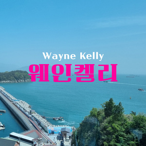 진실로말하고픈마음