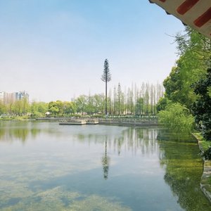 孤影 -清唱未修音Demo