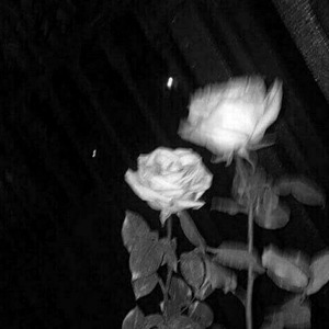 uzaklara savrulalım (speed up)