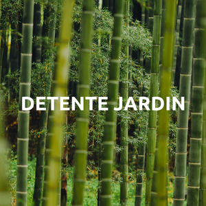 Écoulement de l'eau