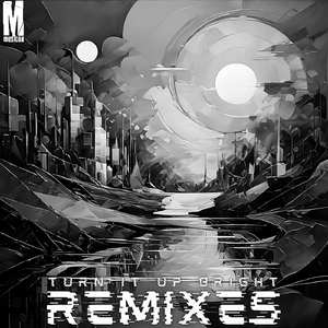 Turn It Up Bright (SteeVitt Remix)