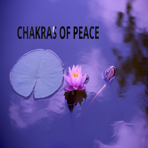 Curaciva del Estrés