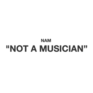 我不是什么音乐家(重置版)