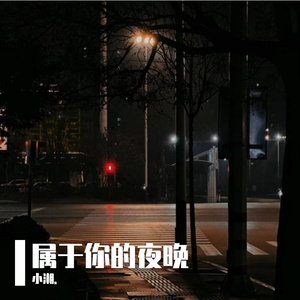 属于你的夜晚