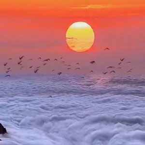 新潮汐起落的韵律