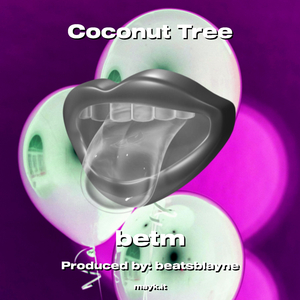 Coconut Tree