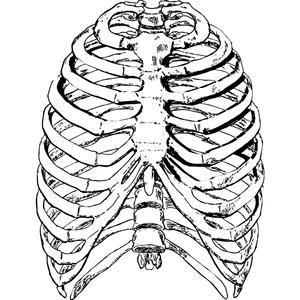 梦里的鸟 笼里的鸟(Prod by NAFUHSIL MUSIC)