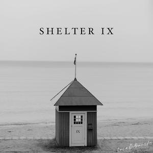 Shelter IX