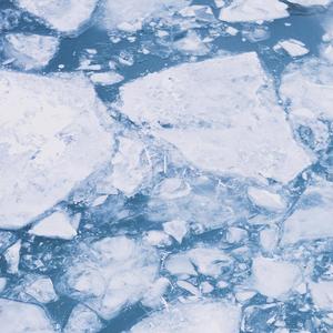 温柔反击准则（Proud.Jianastic.X）