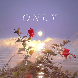 ONLY（Chinese.ver）