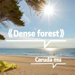 我只要你在我身边