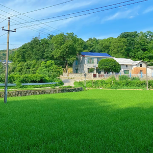 那时候，永远是夏天