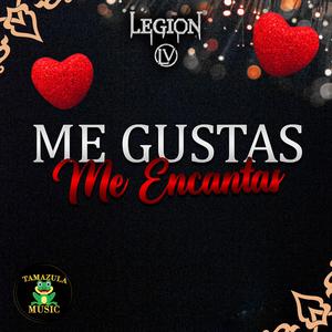 Me Gustas Me Encantas