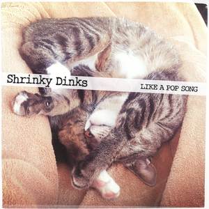 Shrinky Dinks