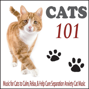 Cats 101 (Calming Cat Music)