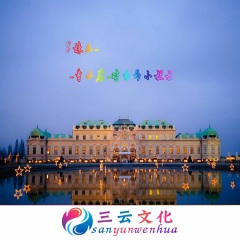 伤心的酒别喝的太醉 (DJ版)