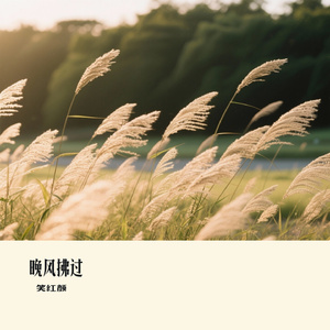 晚风拂过