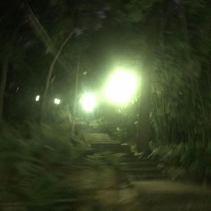 多么美好的一天