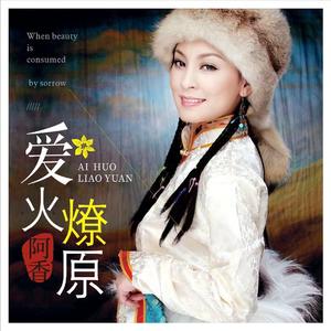 爱火燎原TIN天楚版