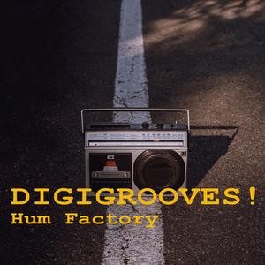 Digigroove