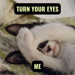 Turn your Eyes