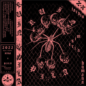 Los Lances de la Vida