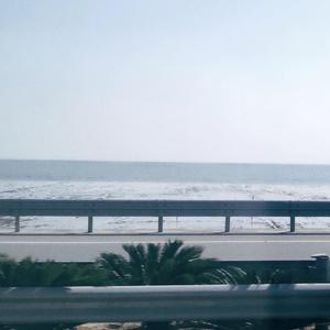 这一生关于你的风景