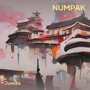 Numpak