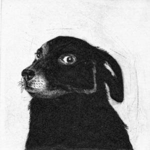Sokak Köpeği Gibiyim