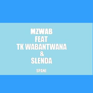 Spani (feat. TK Wabantwana & Slender) (Radio Edit)