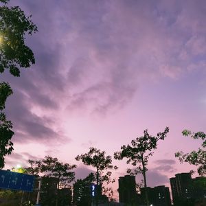 粉红带乌云的梦