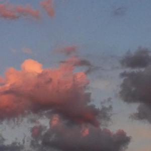 叹云兮（cover：鞠婧祎）男声版