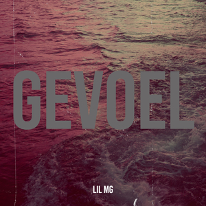 Gevoel