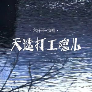 天选打工魂儿
